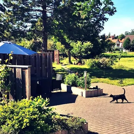 Zauberwagen Am Geiseltalsee *