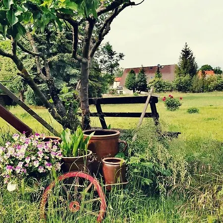 Zauberwagen Am Geiseltalsee * Stobnitz