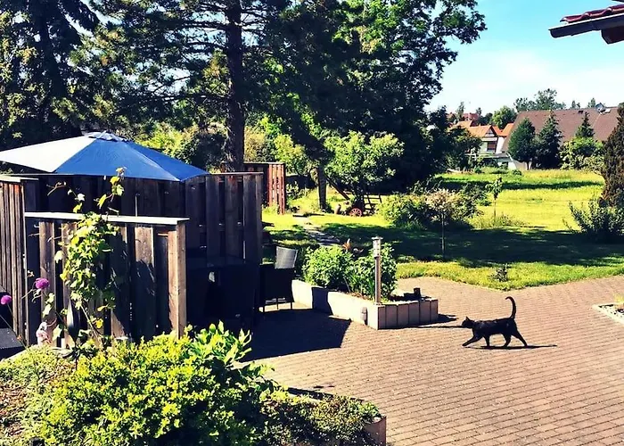 Zauberwagen Am Geiseltalsee *