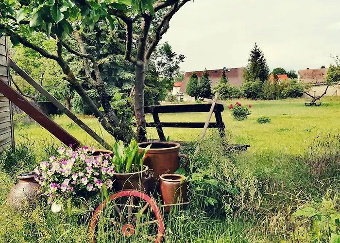 Zauberwagen Am Geiseltalsee * Stobnitz